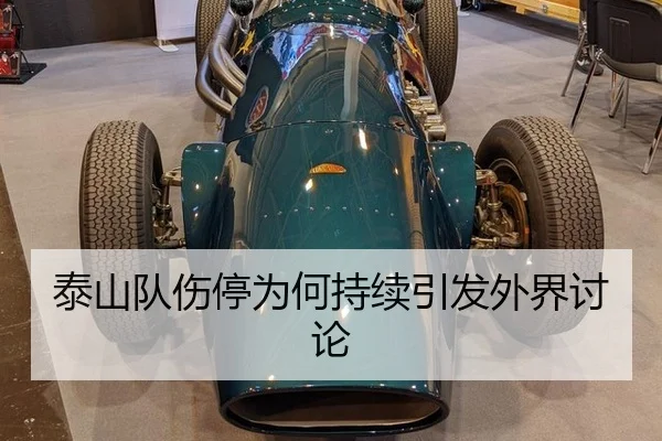 tai-shan-dui-shang-ting-wei-he-chi-xu-yin-fa-wai-jie-tao-lun-2-662.jpg